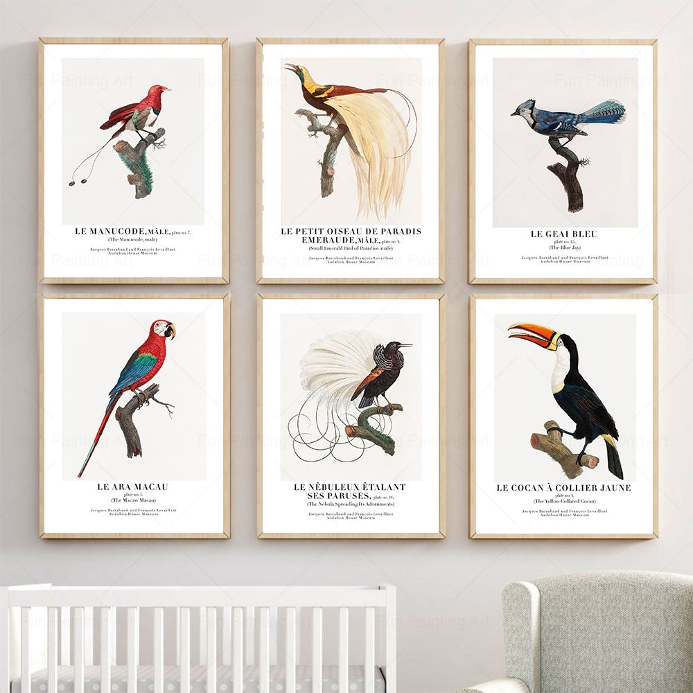 Furniture Paradise & Hardware Ghaziabad - Vintage Paradise Bird cuadro sobre lienzo