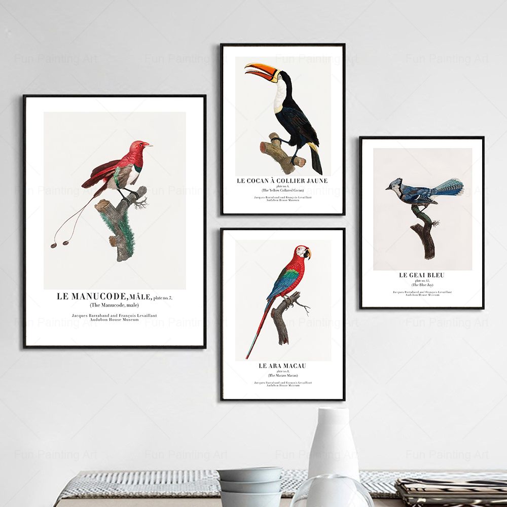 Vintage Paradise Bird cuadro s - Furniture Paradise & Hardware Ghaziabad reseña y precio