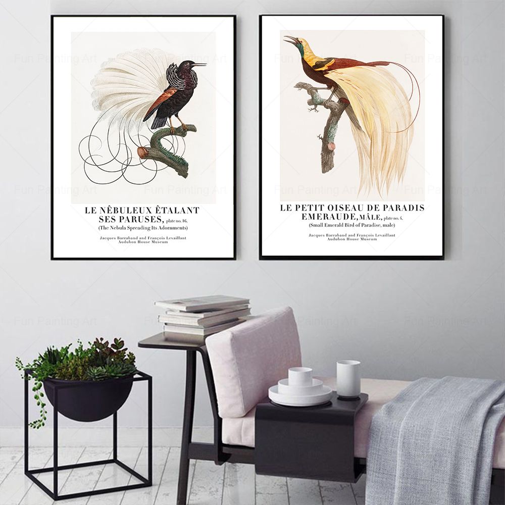 Vintage Paradise Bird cuadro s - Furniture Paradise & Hardware Ghaziabad reseña y precio