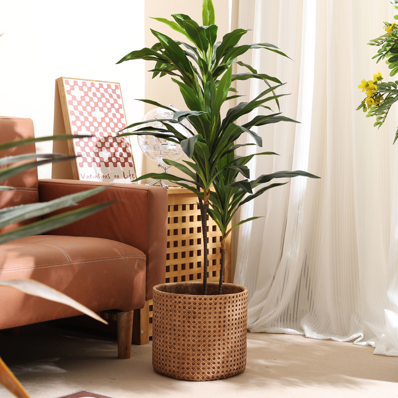 Muebles para apartamentos pequ - Furniture Paradise & Hardware Ghaziabad reseña y precio